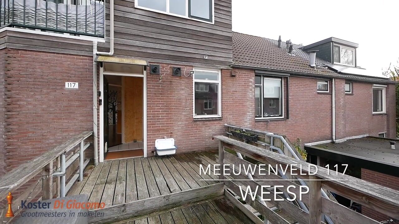 Video of Meeuwenveld 117