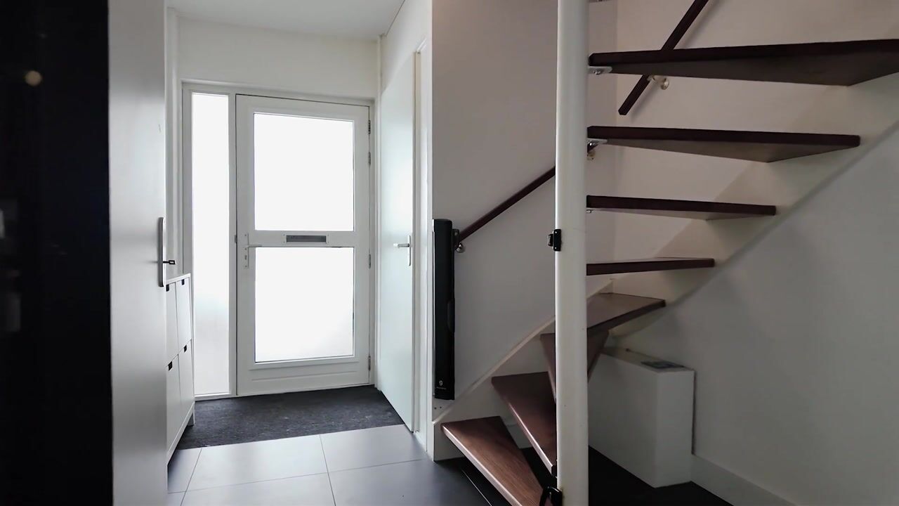 Video of Chalcedondreef 15