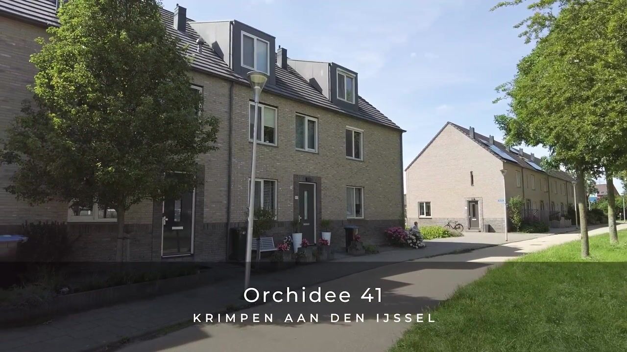 Video van Orchidee 41