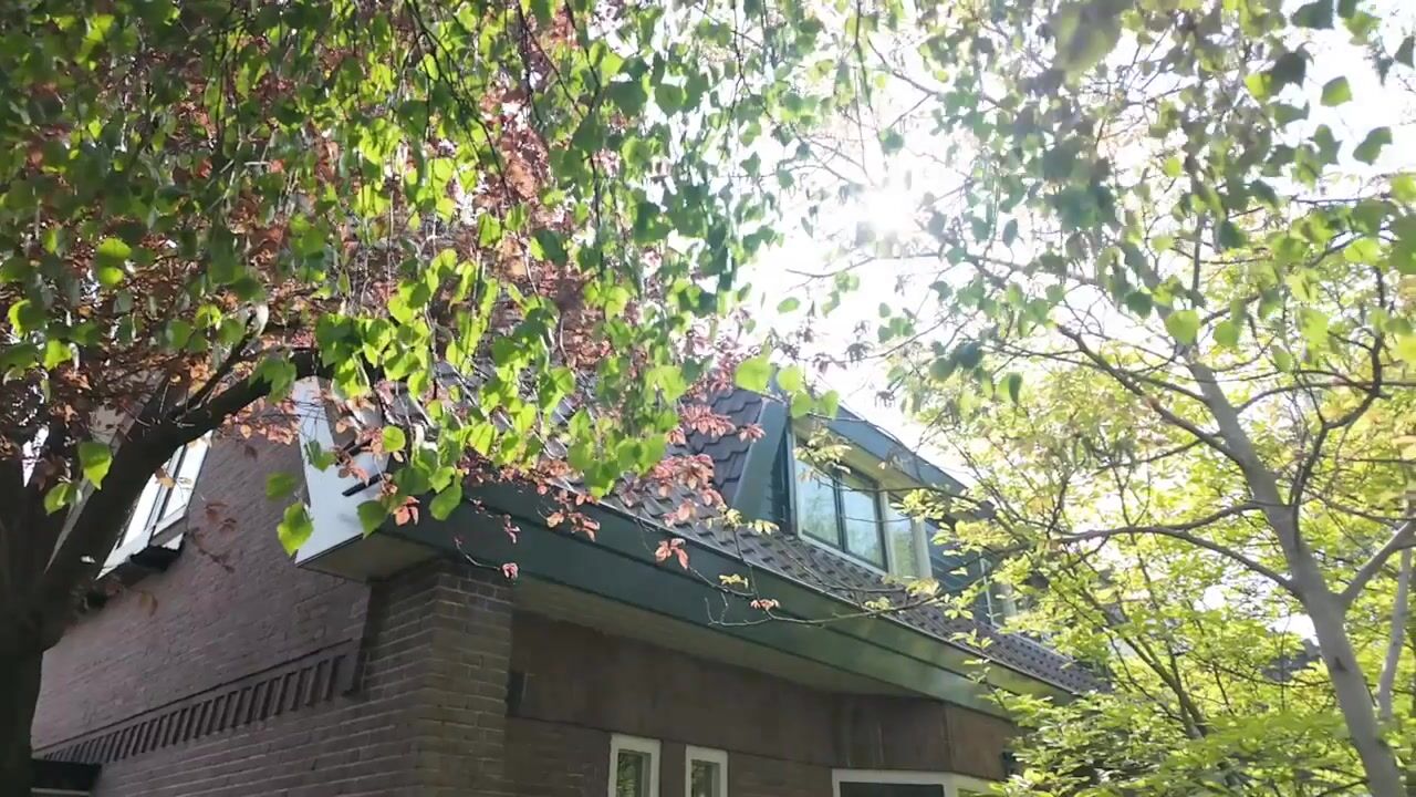 Video of Nassaulaan 6