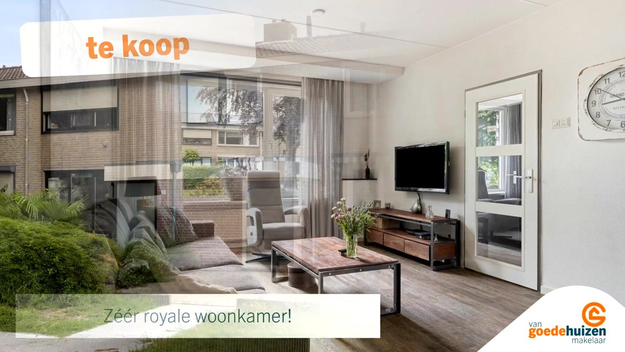 Video van de Leemput 31