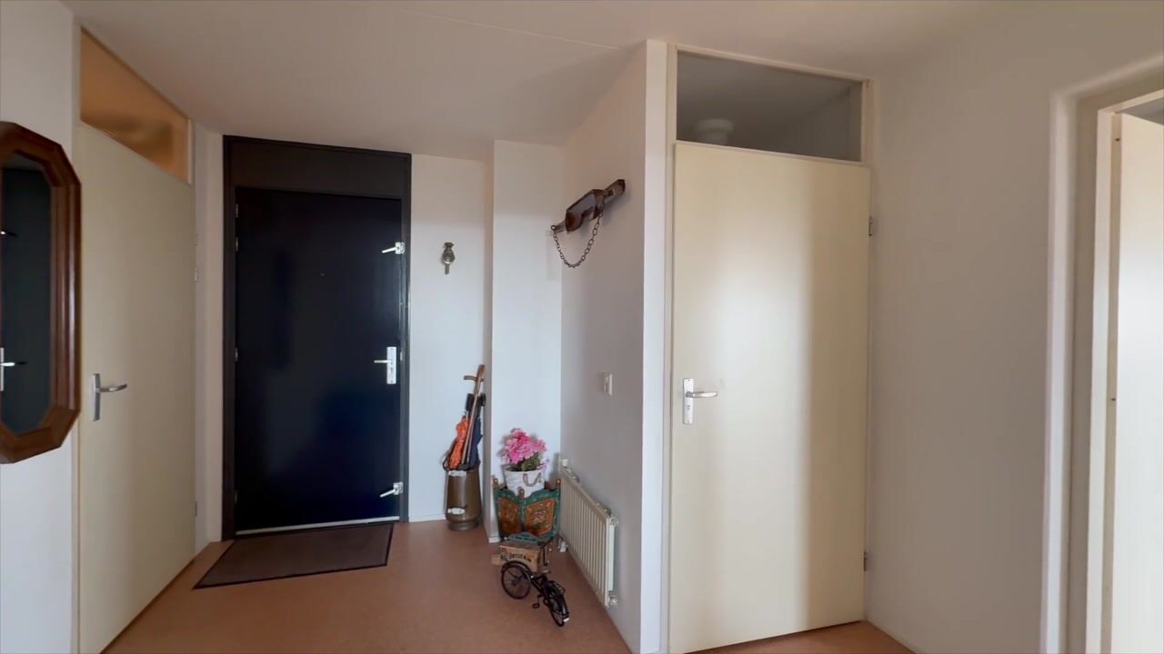 Video van Hogewerf 40
