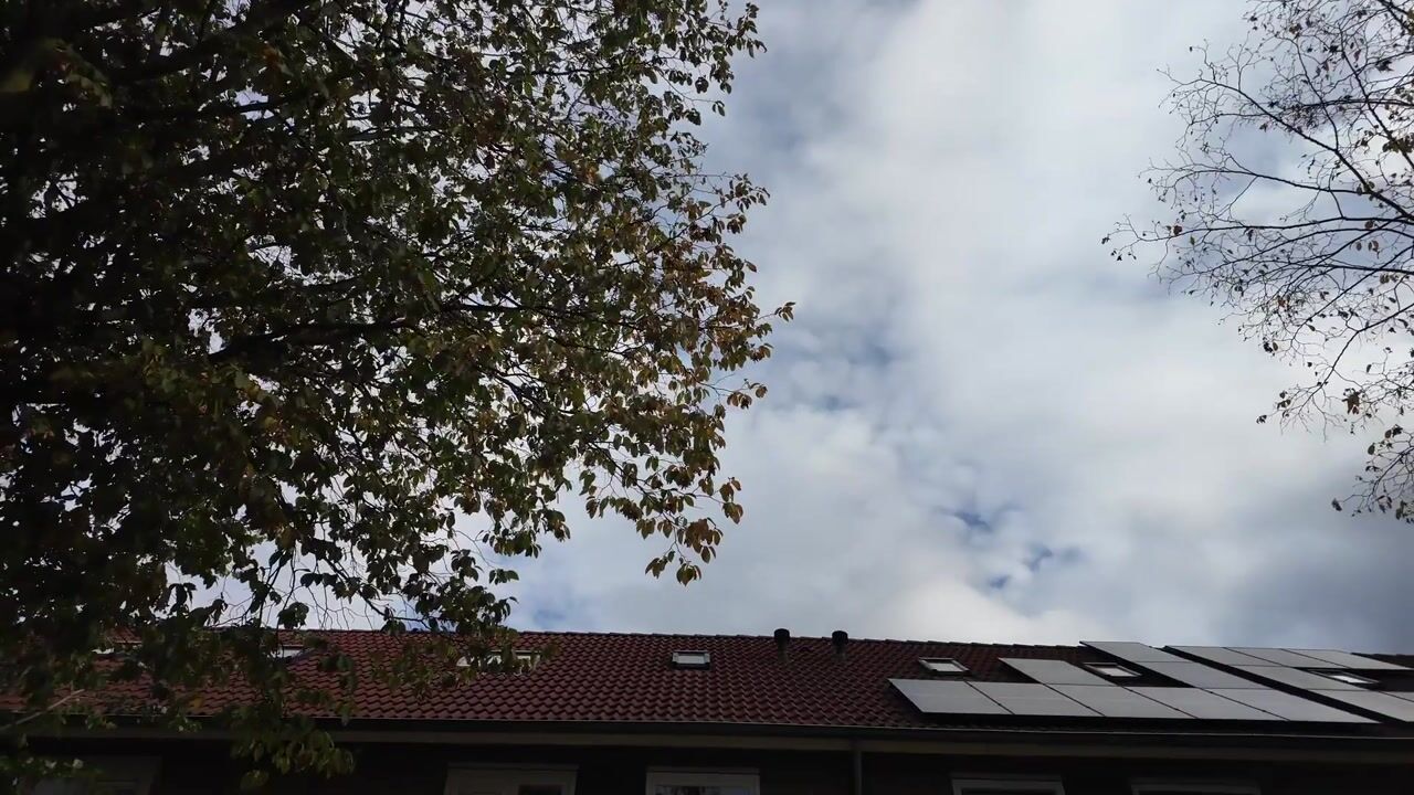 Video van Vorselaarstraat 8-A