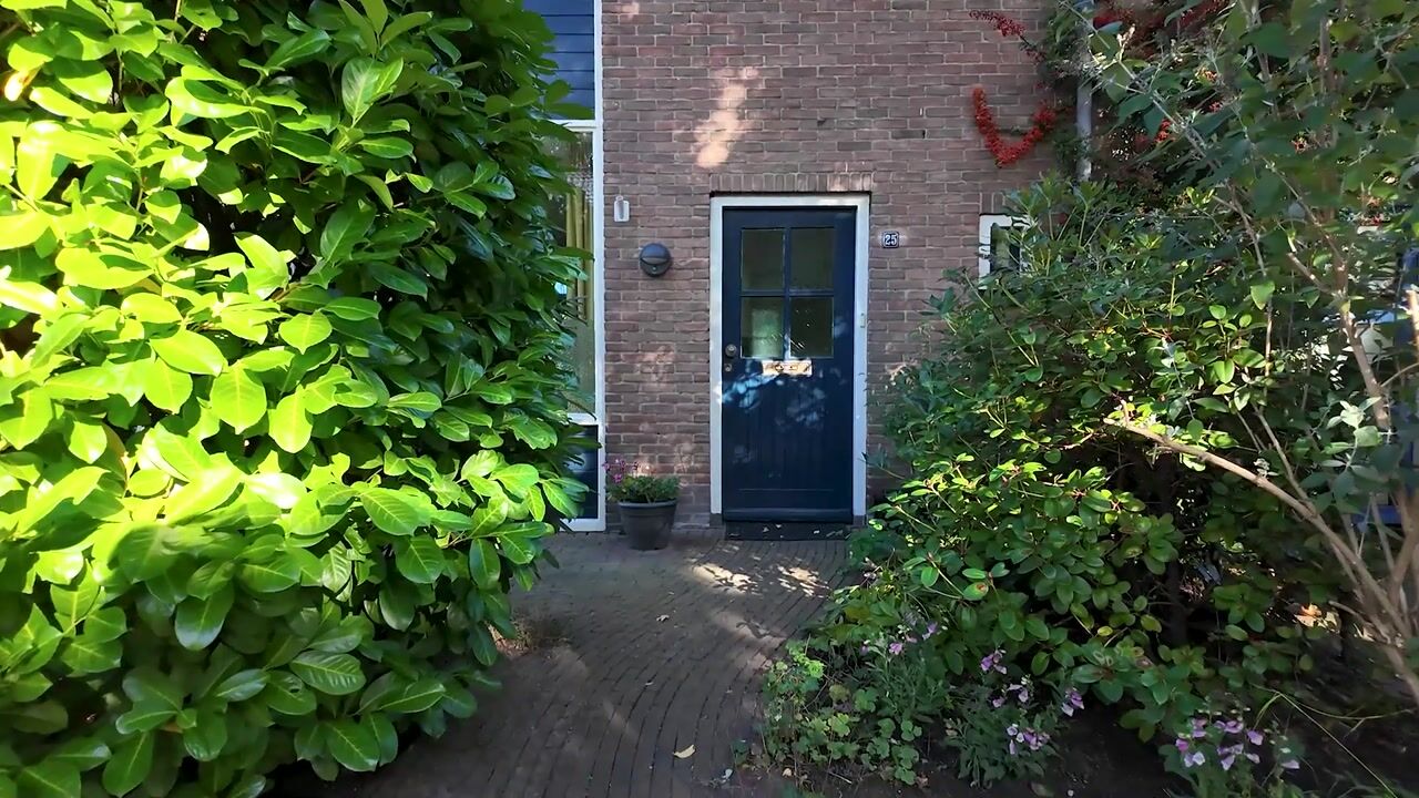 Video van Strausslaan 25
