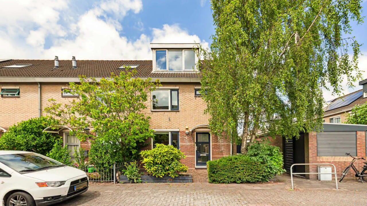 Video van Pinksterbloem 2