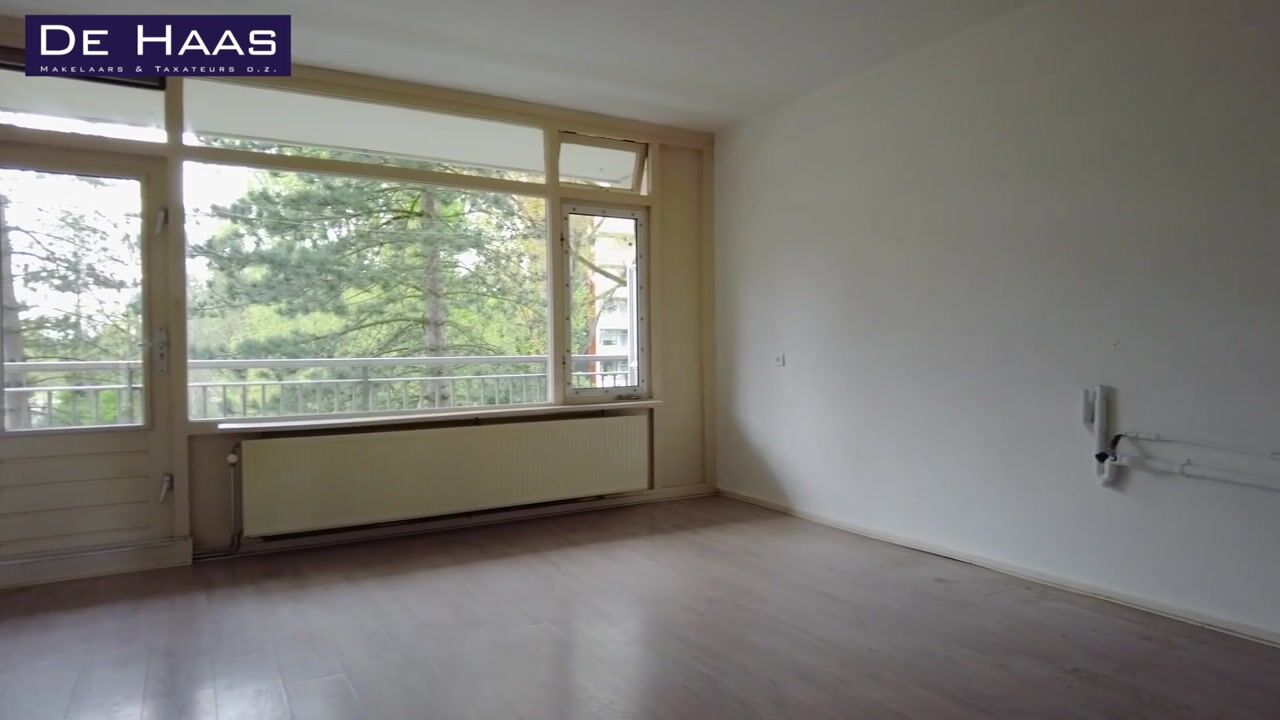 Video van Spinnekop 18