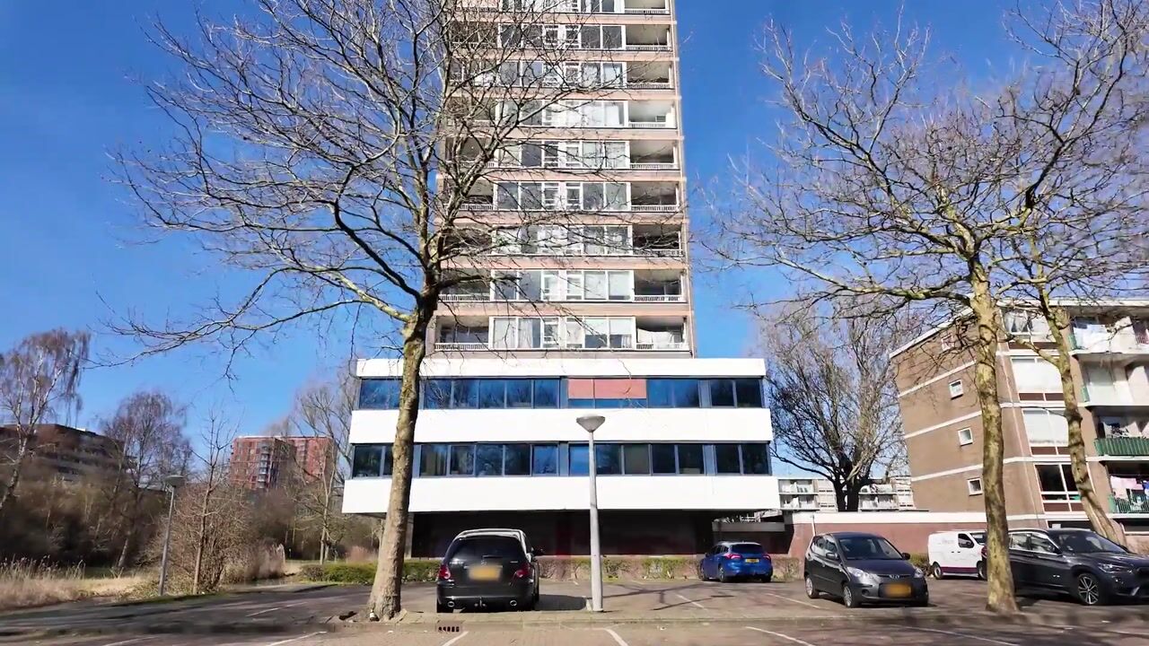 Video van Maassluisstraat 536