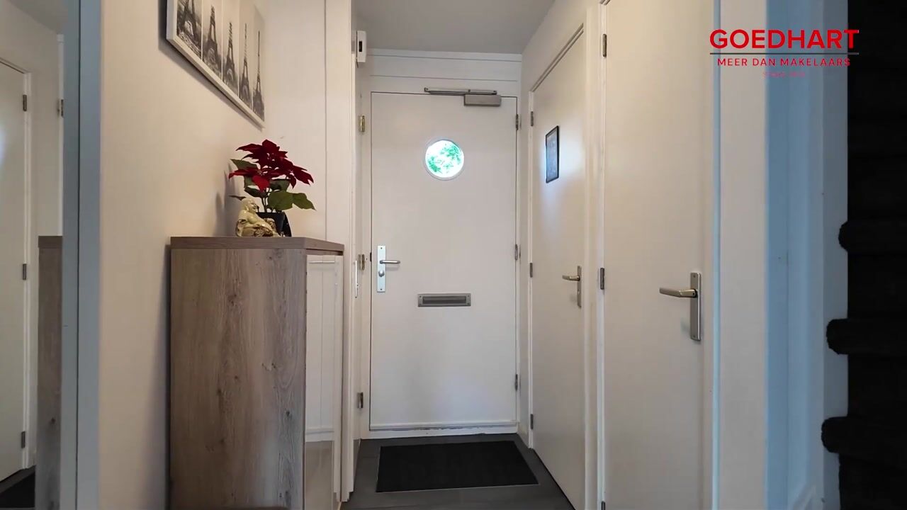 Video of Noorse Lijster 3
