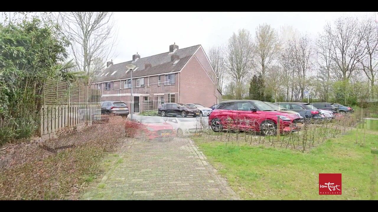 Video of Salamander 45
