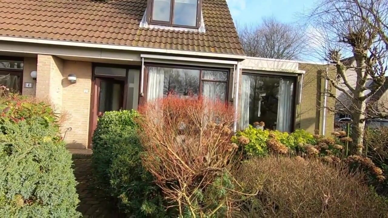Video van Adelaar 2