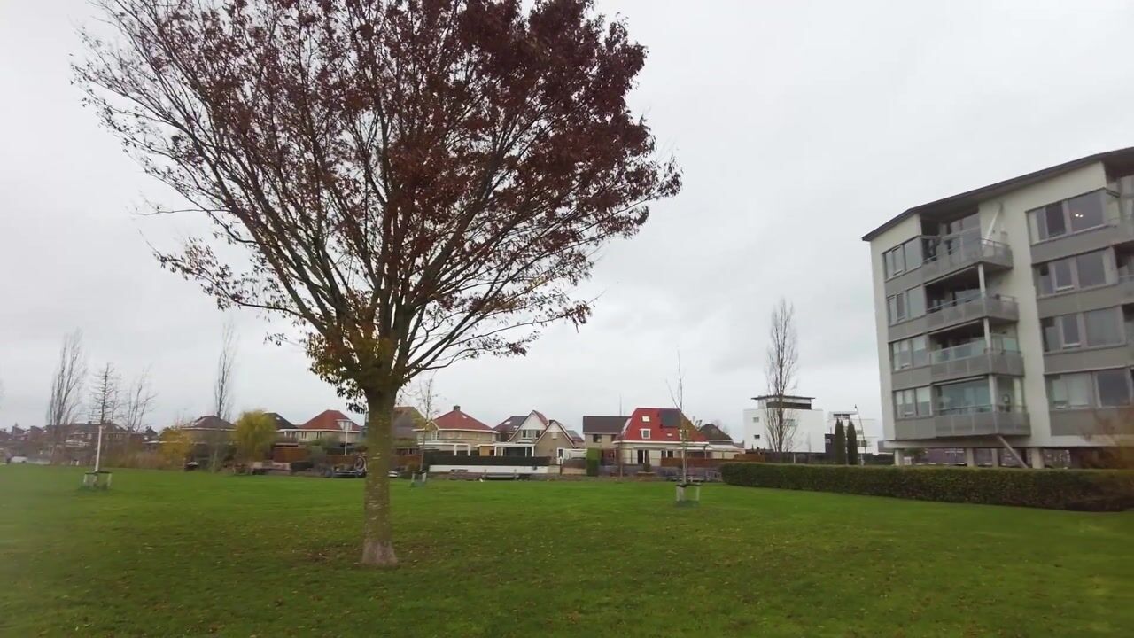 Video of Lavendel 469