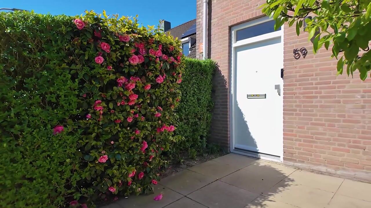 Video van Regge 59
