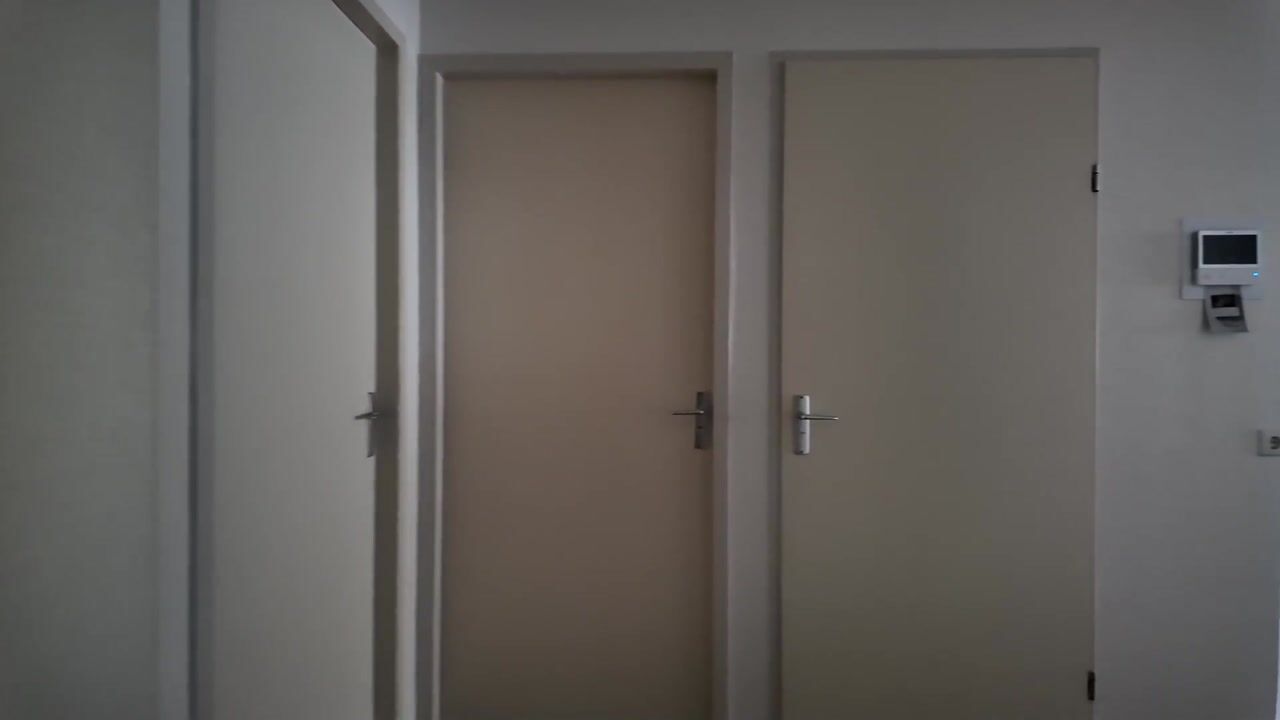 Video van Prins Willem-Alexanderlaan 78