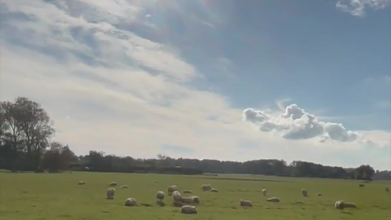 Video of Bergerweg 173