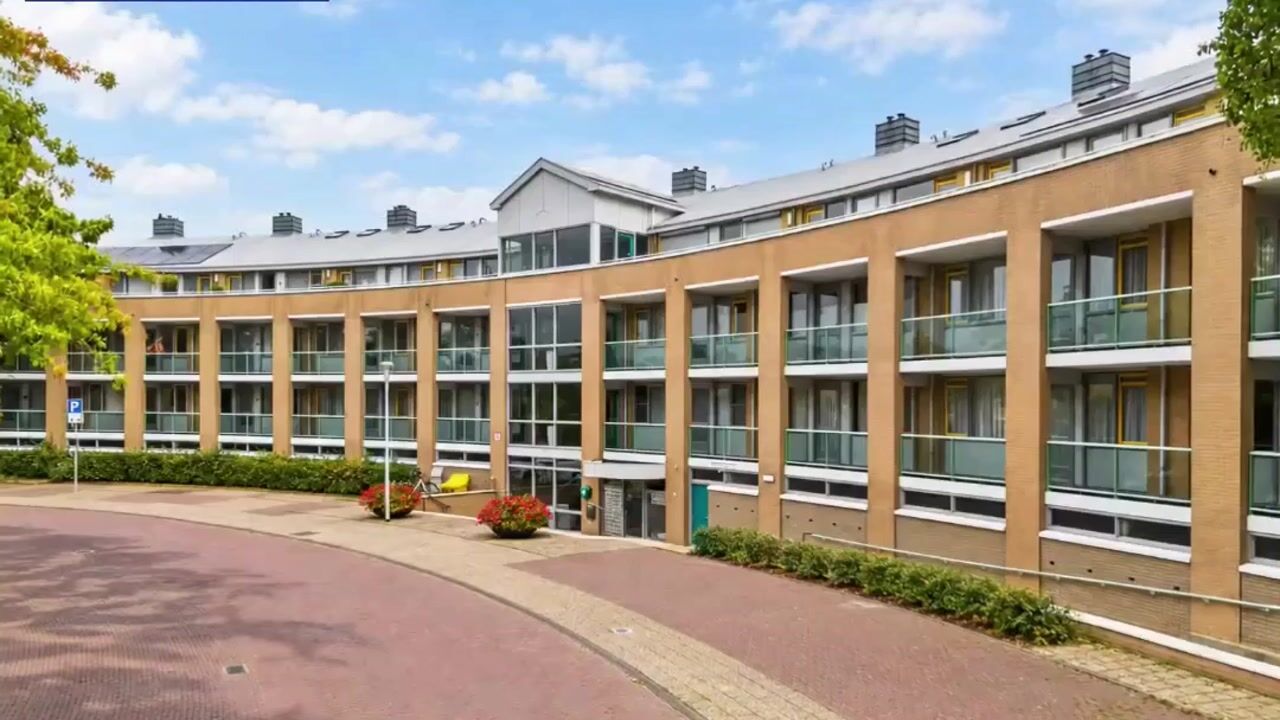 Video van Zomervlinderberm 58