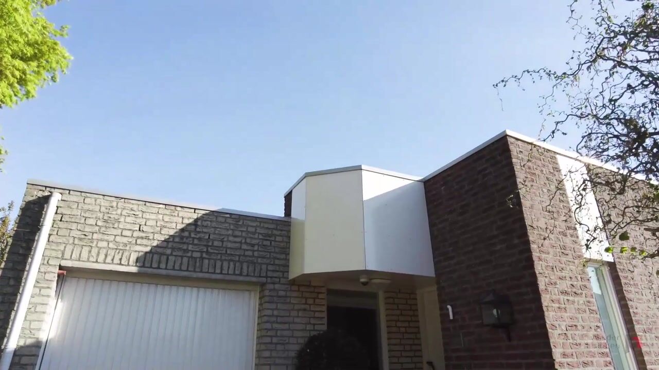 Video van Citroenvlinder 1