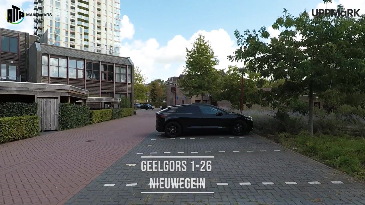 Video van Geelgors 1-26