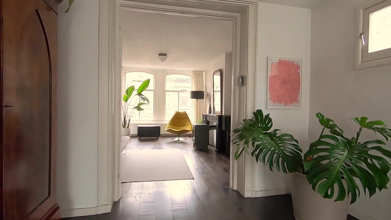 Video van Tweede Jan Steenstraat 114-3