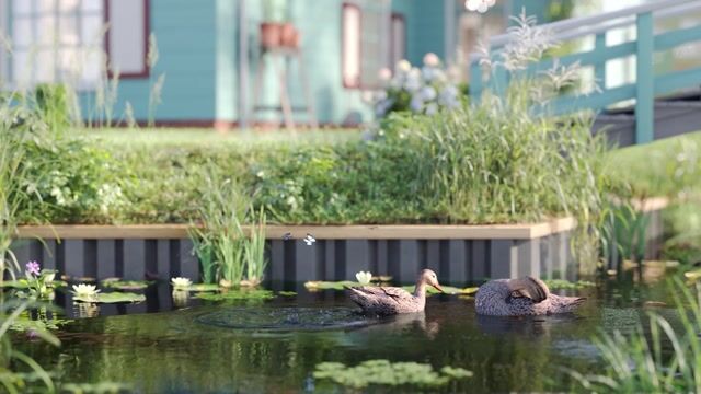 Bekijk video van Langepad