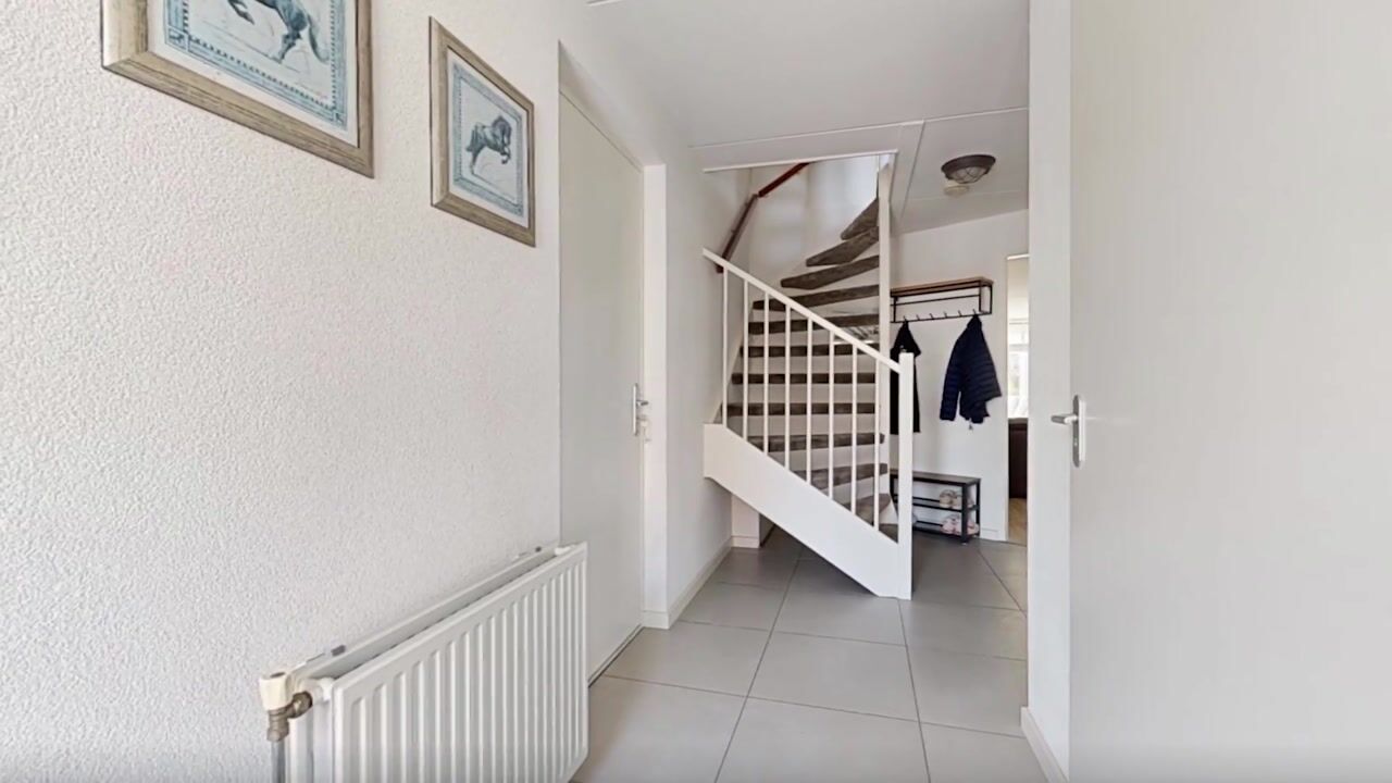 Video of Roerdomp 50