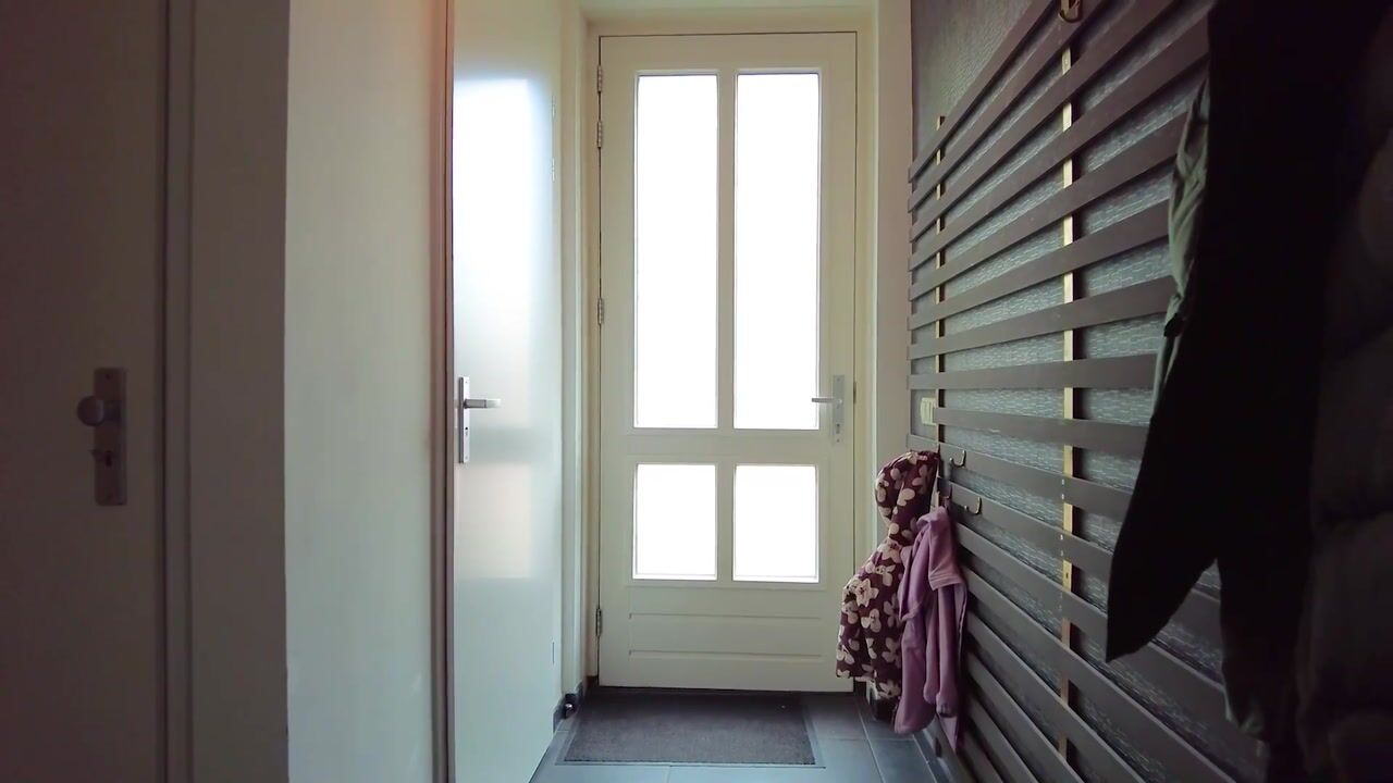 Video van Paardebloem 20