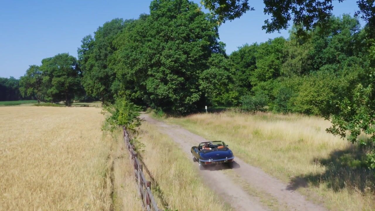 Video of Pepereind 20