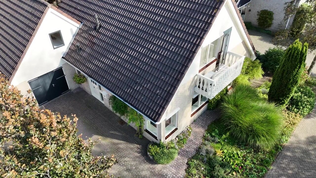Video van Brasemkolk 15