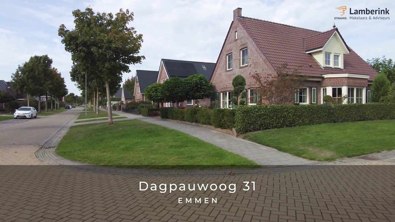 Video van Dagpauwoog 31