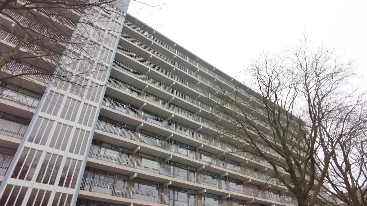 Video of Jan Vermeerstraat 417