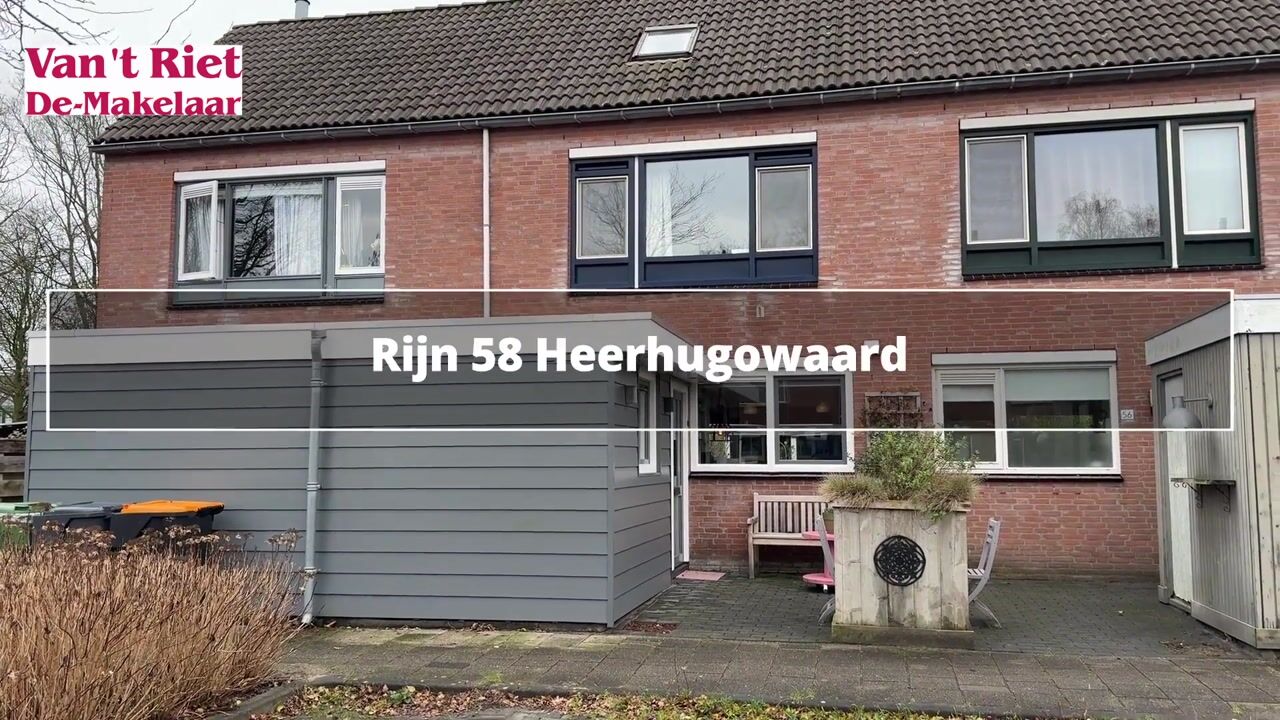 Video van Rijn 58