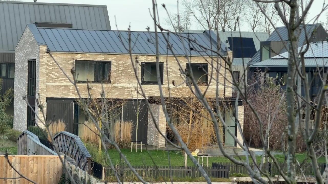 Video van Groene kikker 2