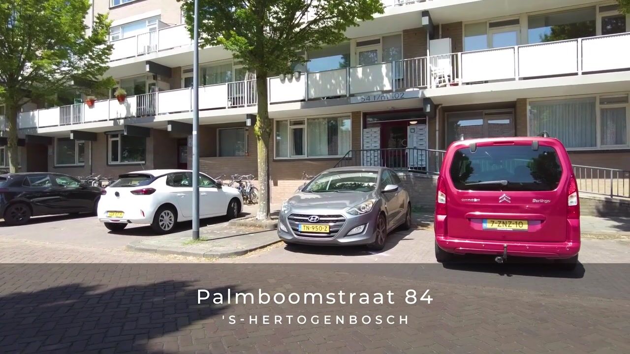 Video of Palmboomstraat 84