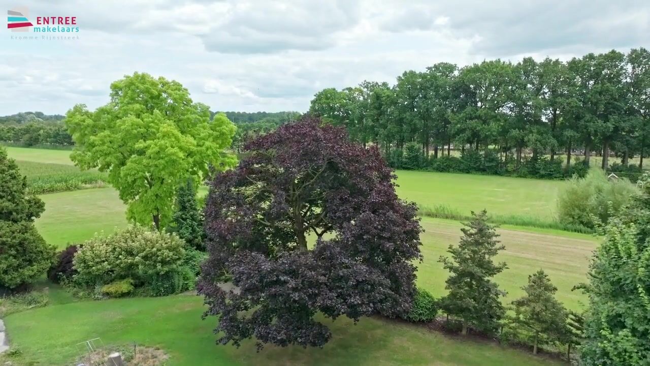 Video van Heemsteedseweg 14