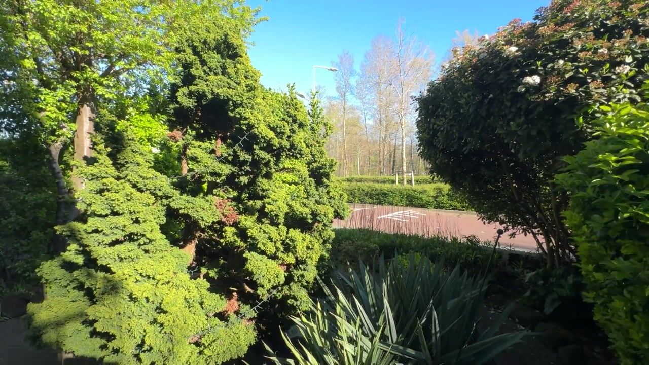 Video van Sportlaan 337