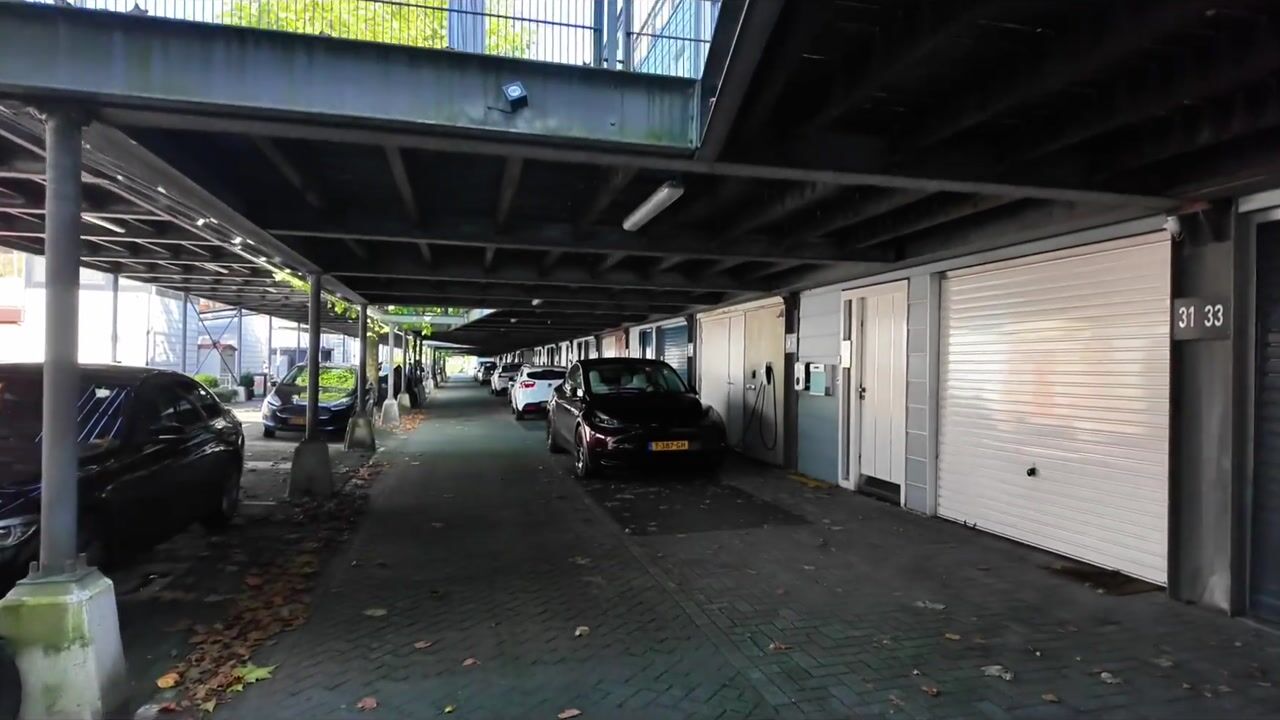 Video van Arubapier 31