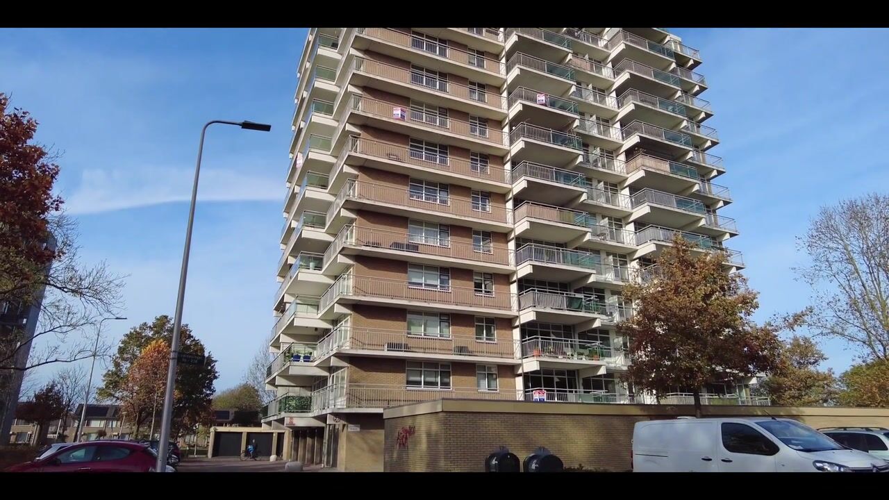 Video of Lupinesingel 156