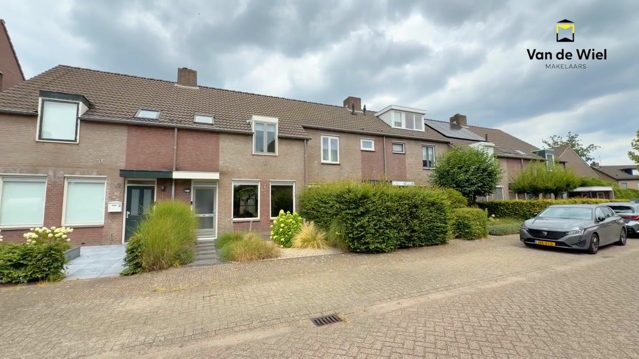 Video of Hesseling 10