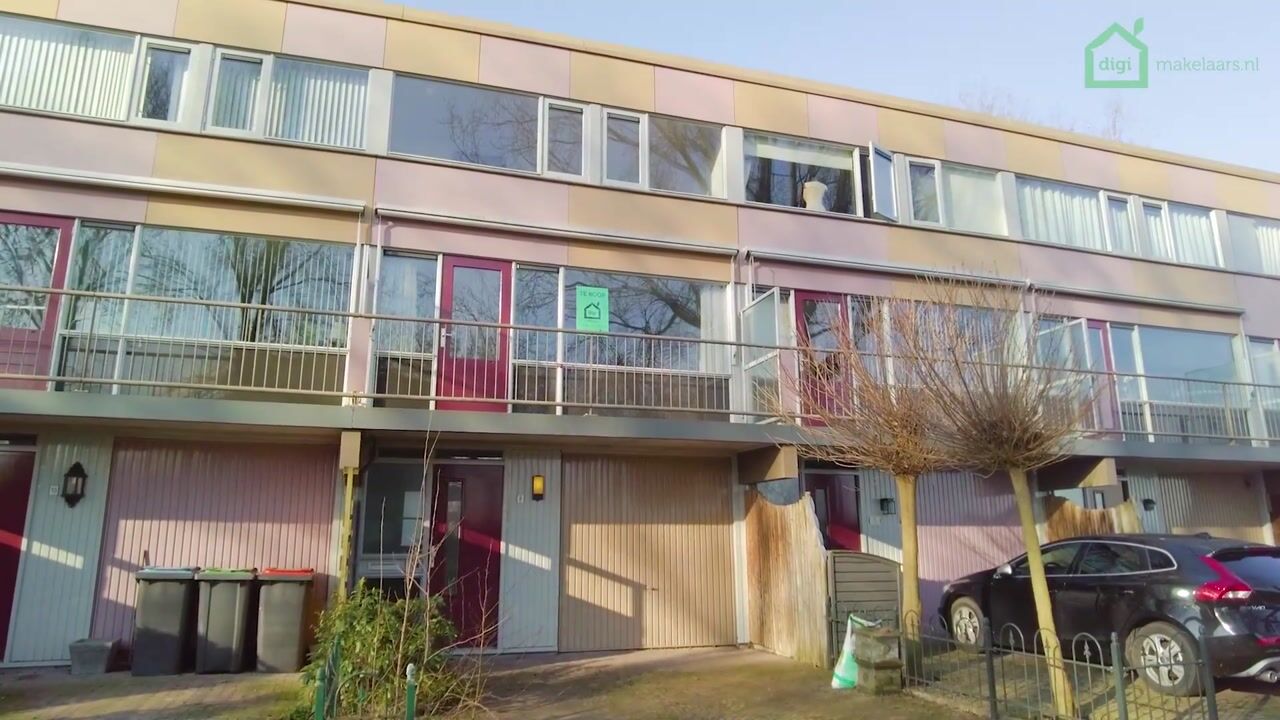 Video van Korenbloem 8