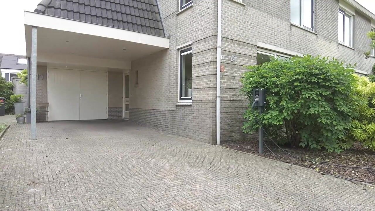 Video van Koekoeksbloem 11