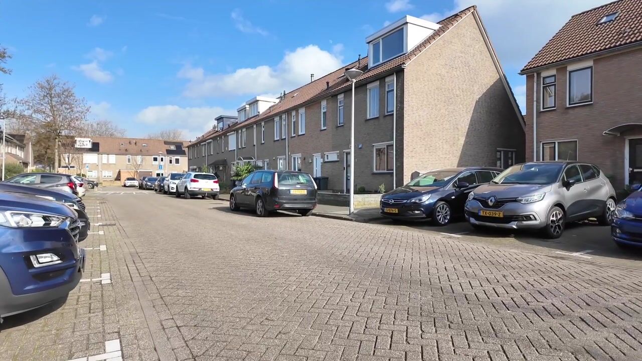 Video van Mosveen 8