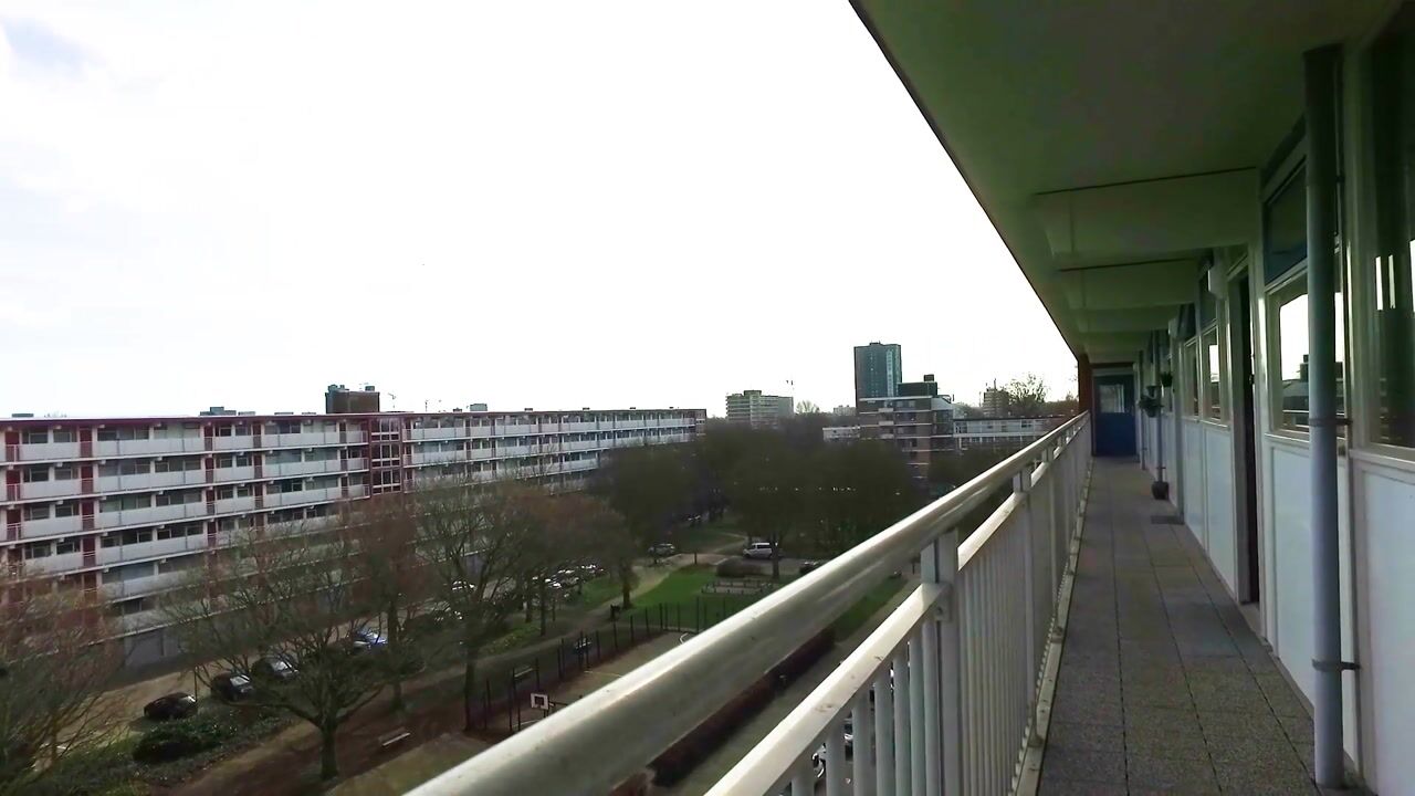 Video van Jacques Urlusplantsoen 367