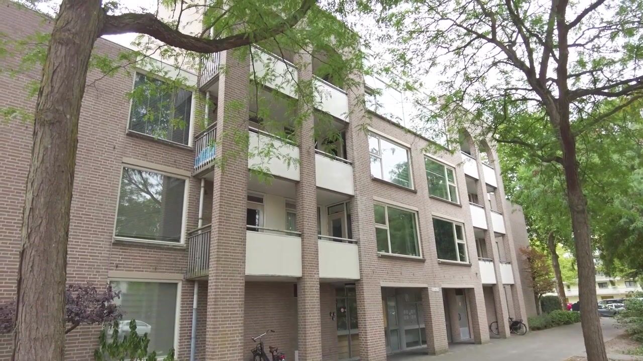 Video of Wilhelminastraat 243