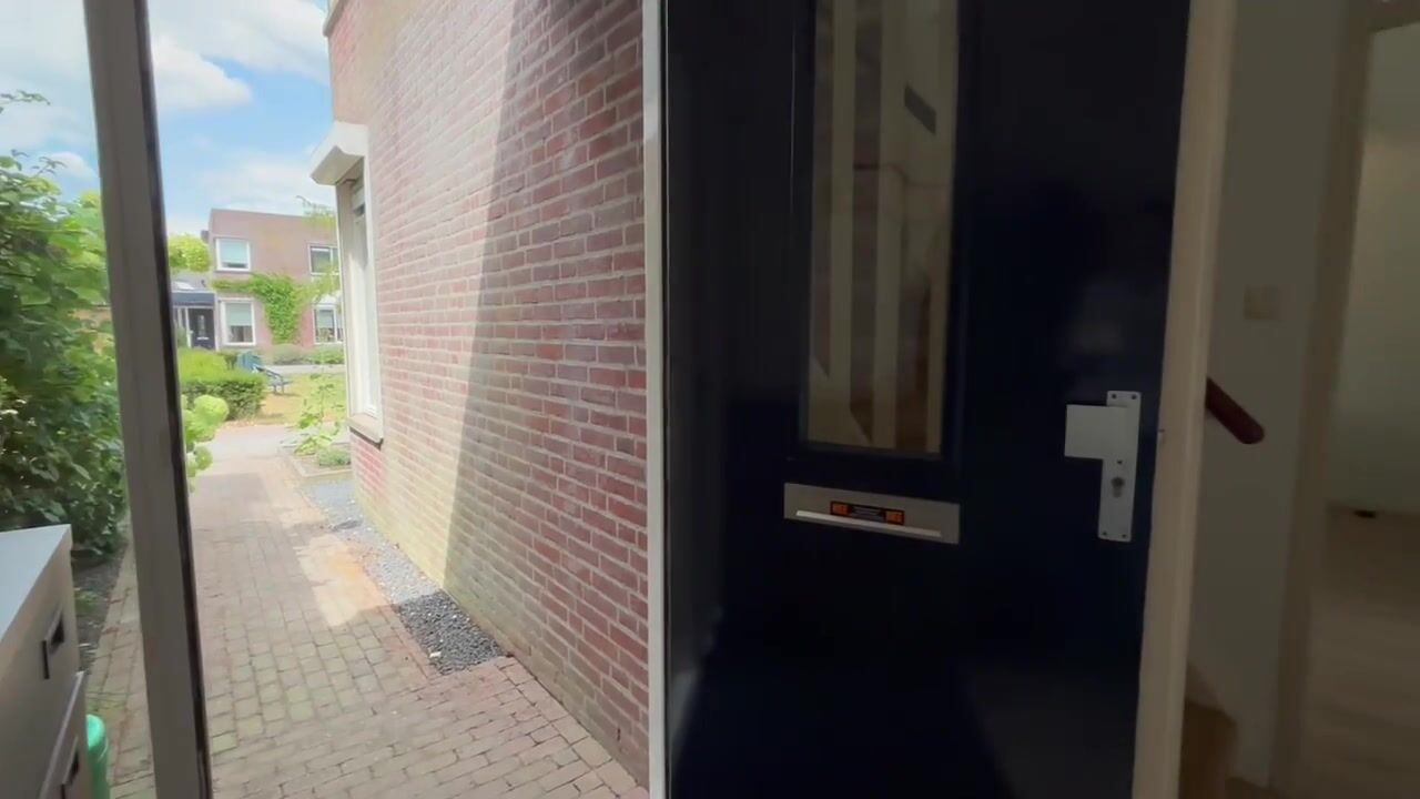 Video van Boomleeuwerik 43