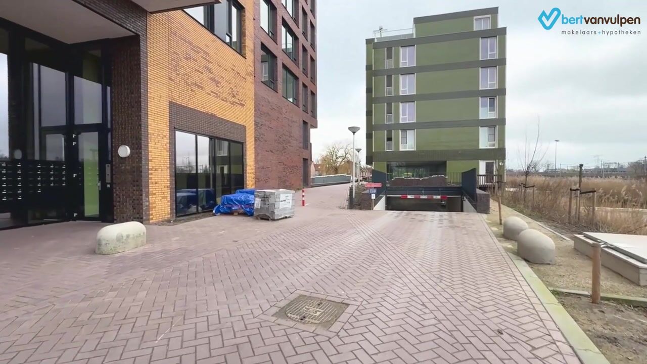 Video van Mahoniehout 406