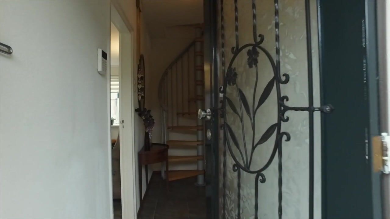 Video of De Hoeven 12