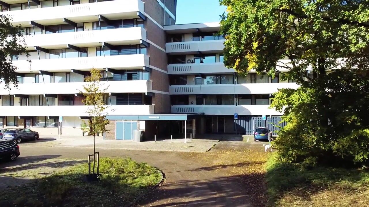 Video van Sint Hubertus 336