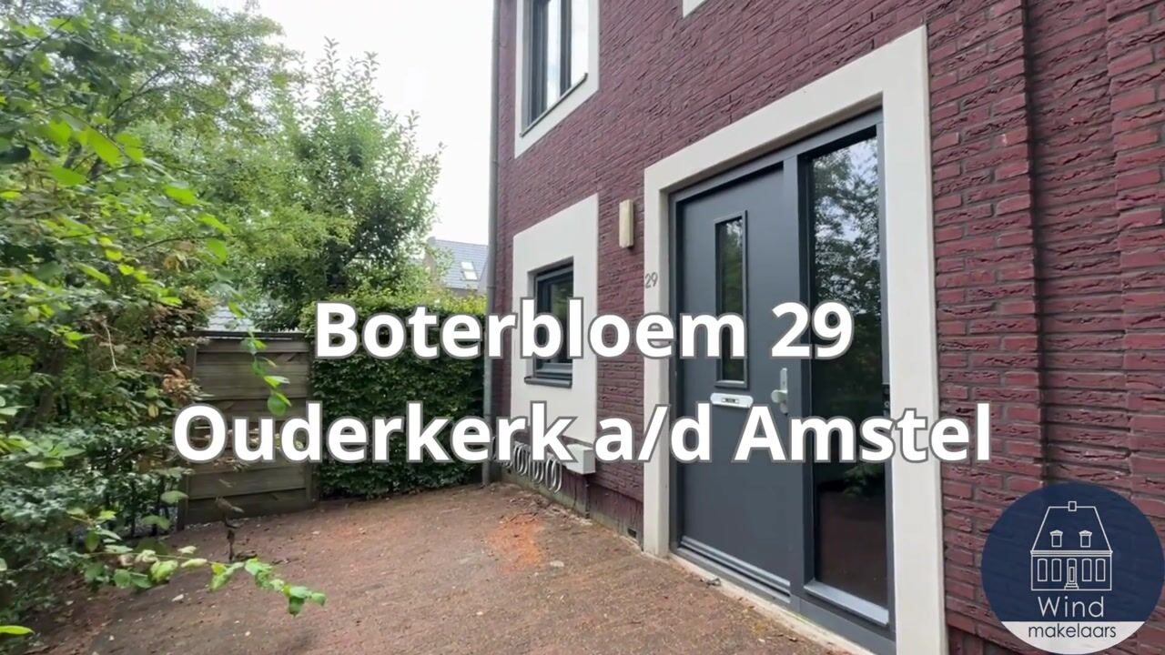 Video van Boterbloem 29