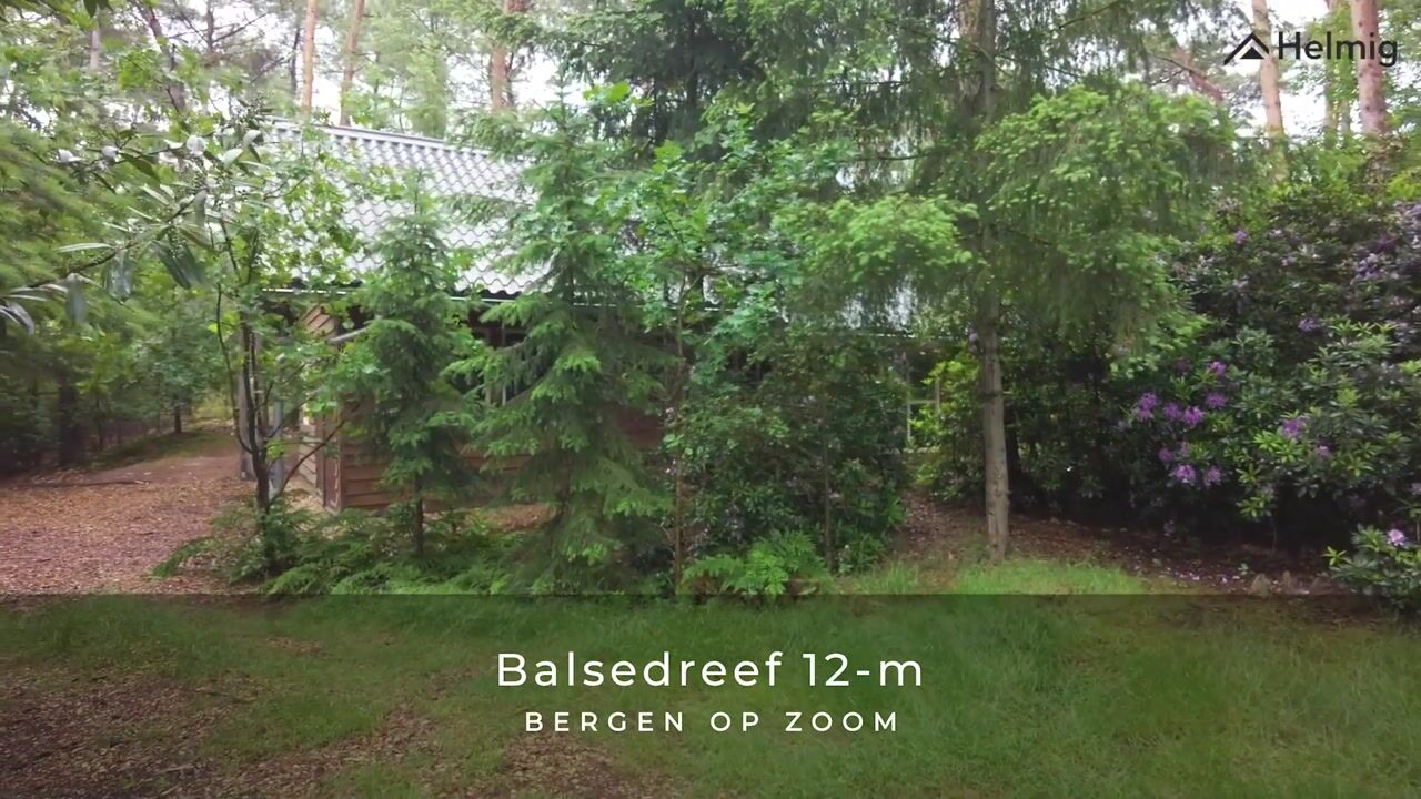 Video of Balsedreef 12-M