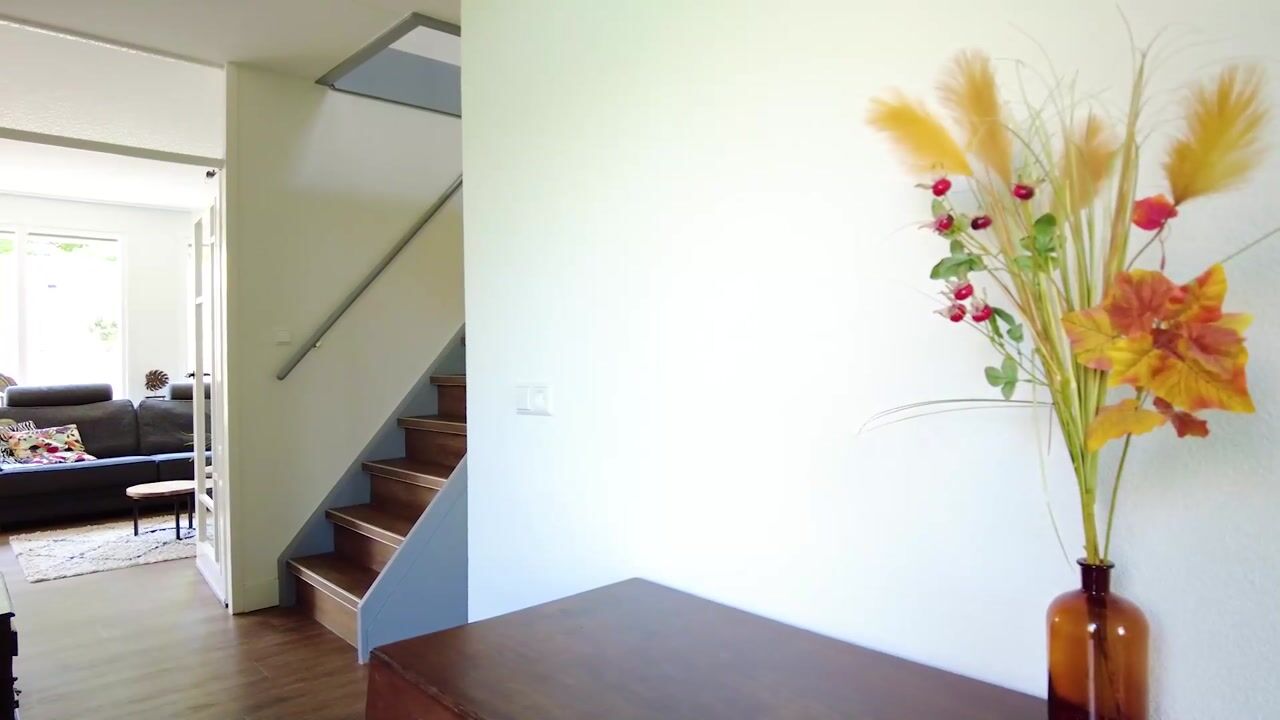 Video van Palissade 8