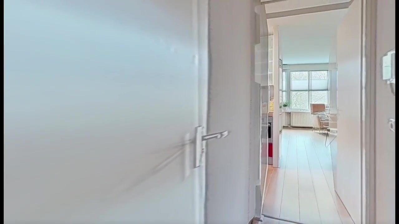 Video of van Reeslaan 65